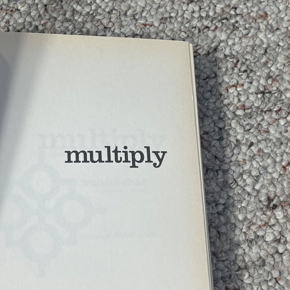 Multiply Disciples Making Disciples Francis Chan Paperback Christianity - Picture 4 of 7